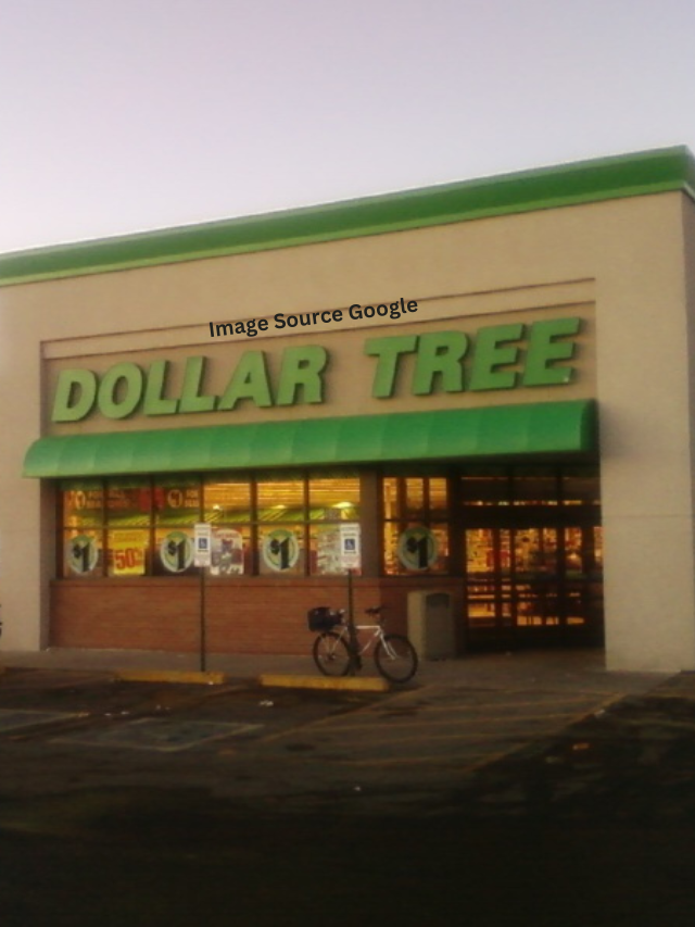 13 Groceries You Should Buy At Dollar Tree In January 2024