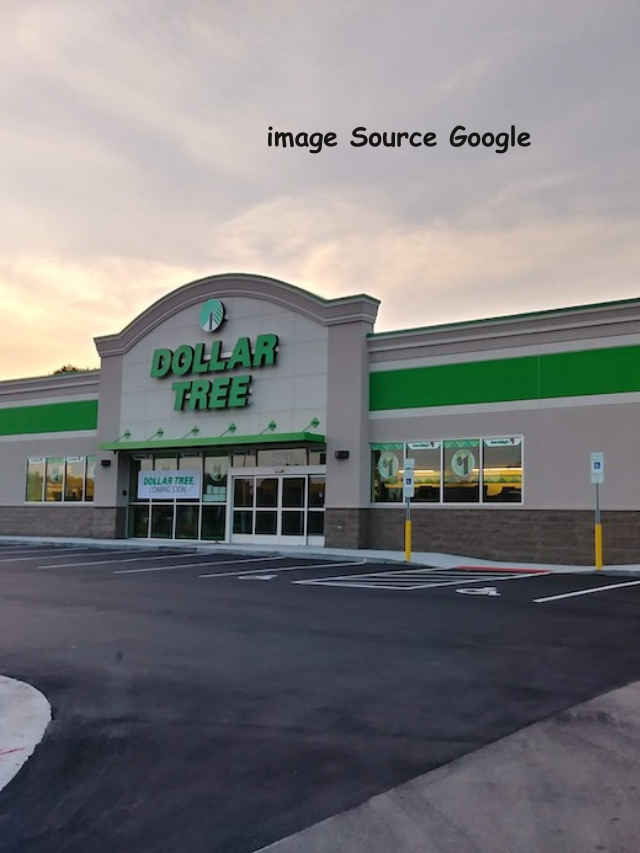 5 Dollar Tree Items That Are Worth Buying Now - StatAnalytica