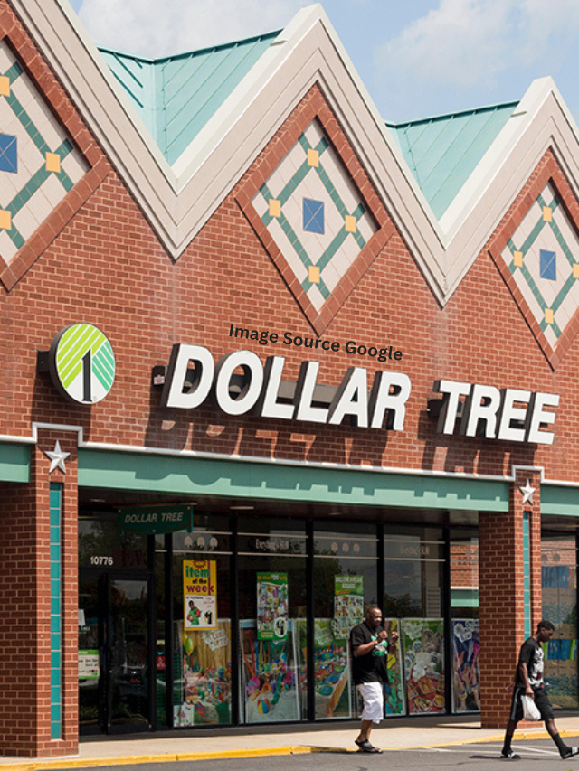 5 Things You Should Be Buying at Dollar Tree in 2024