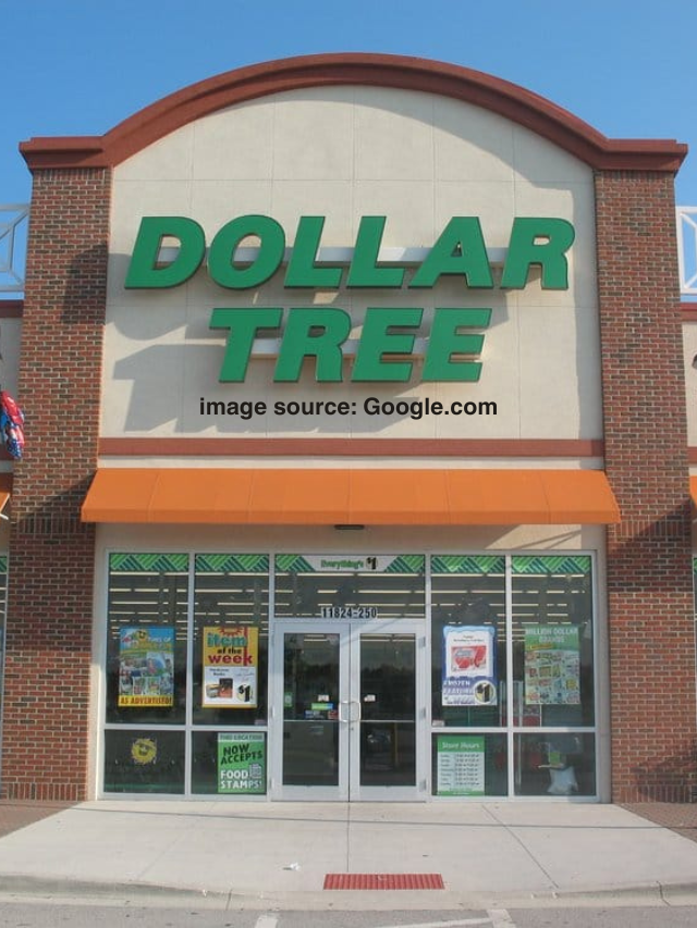 6 Surprising Dollar Tree Finds That Are Better Than Target