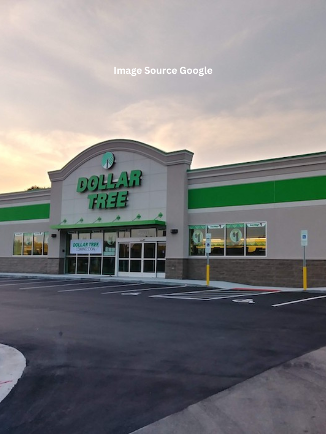 7 Best Home Items To Buy at Dollar Tree in January