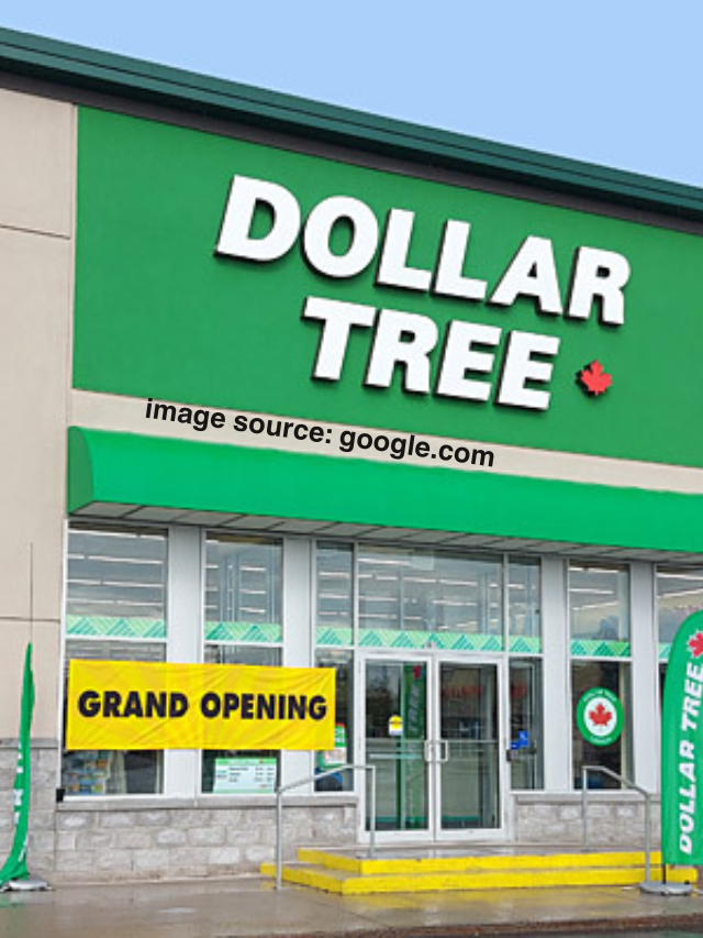 14 Best Dollar Tree Items To Stock Up On for the Holidays