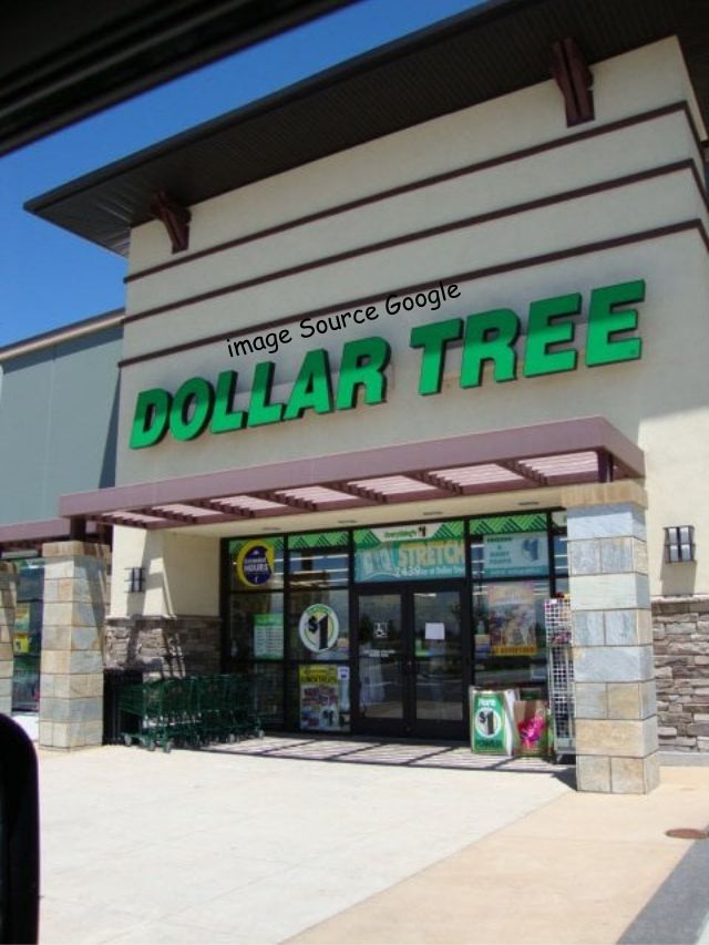 8 Best New Grocery Items at Dollar Tree To Help Combat Inflation