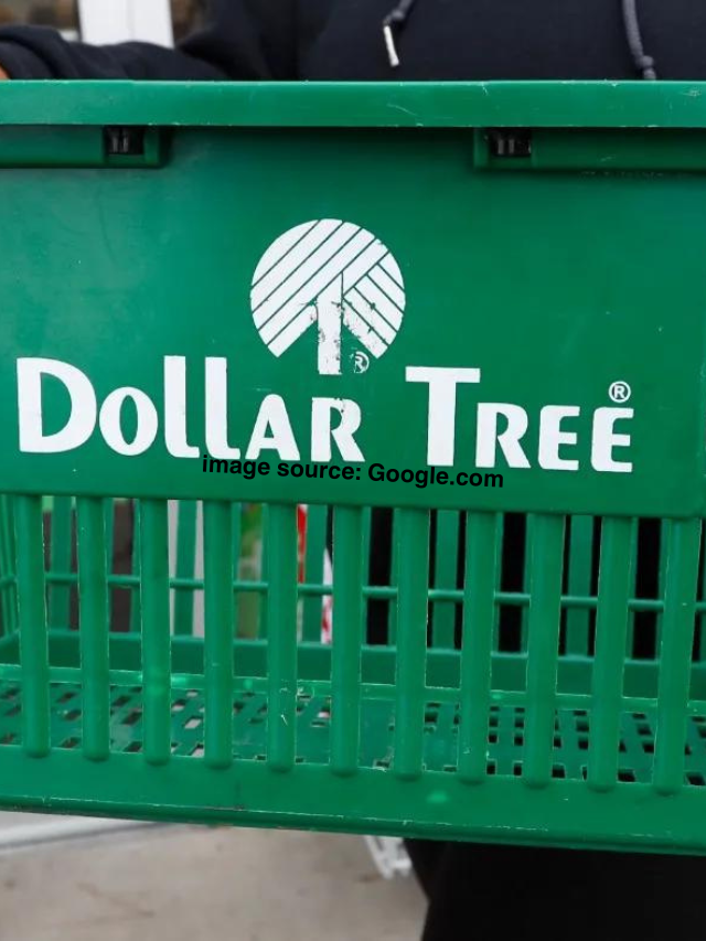 Dollar Tree: 10 Items Worth Buying Year-Round