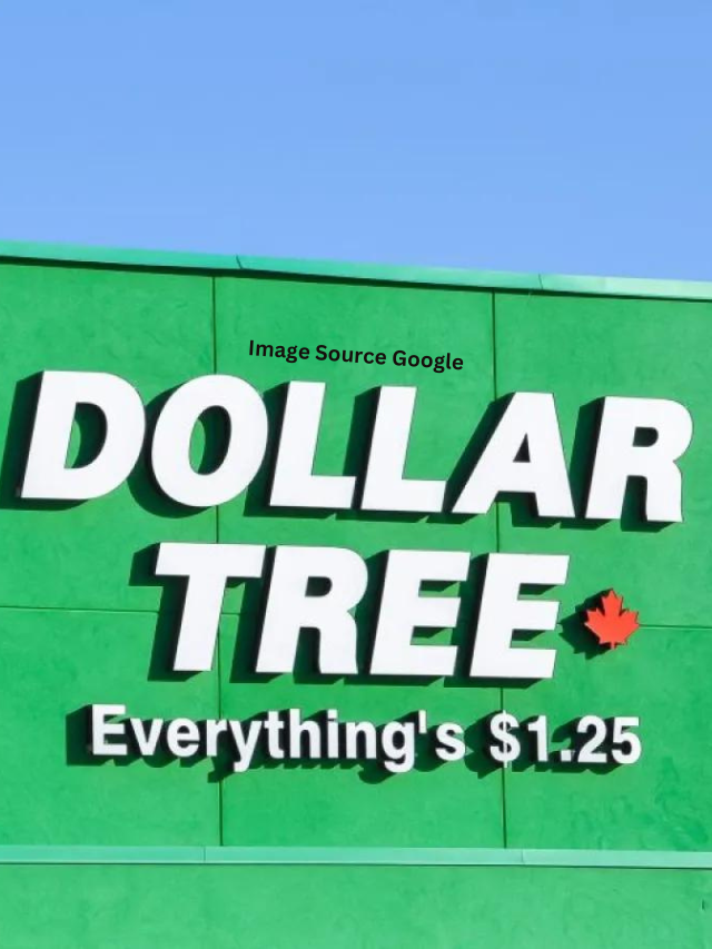 Dollar Tree: 12 Best New Arrivals in January