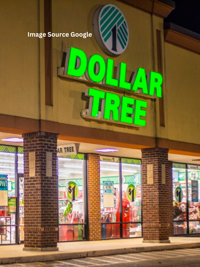 10 Best New Items Coming To Dollar Tree In 2024 