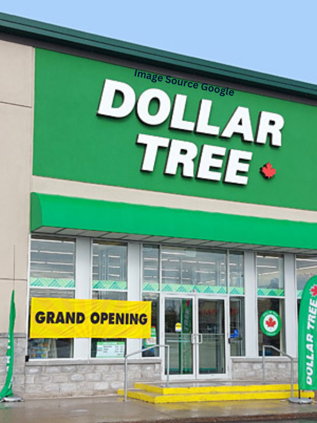 10 Dollar Tree Finds That Will Revolutionize Your Toilet Paper Storage