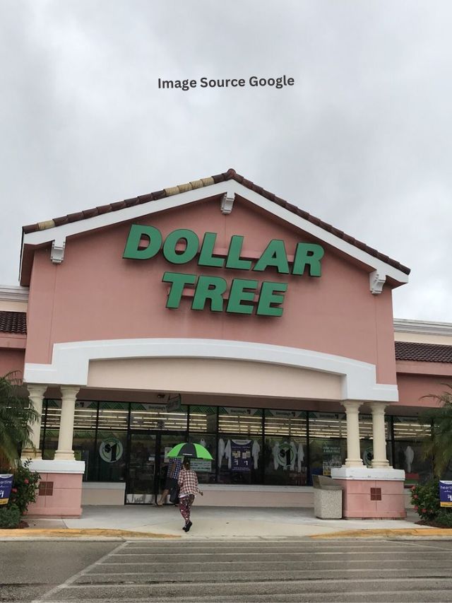 10 Single Best Thing To Buy At Dollar Tree In February 2024 