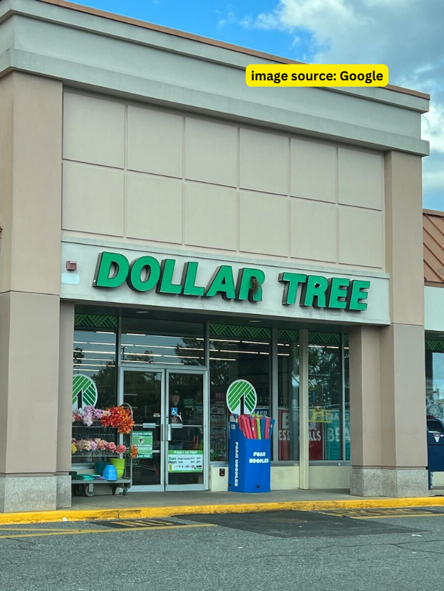 5 Dollar Tree Budget-Boosting Kitchen Tools That Frugal People Swear By