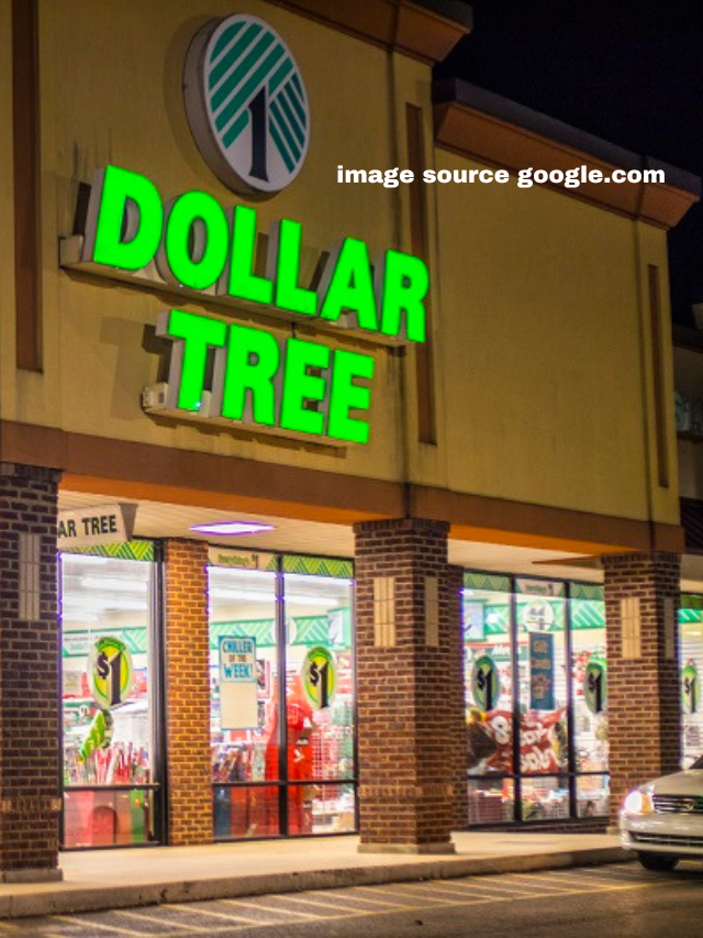 8 Things You Must Buy at Dollar Tree While on a Retirement Budget
