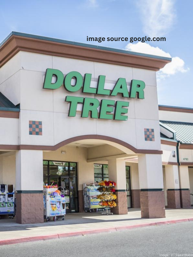 9 Dollar Tree Buys Redditors Swear By To Save Money