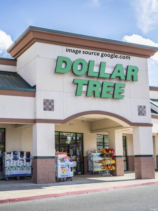9 Dollar Tree Buys Redditors Swear By To Save Money