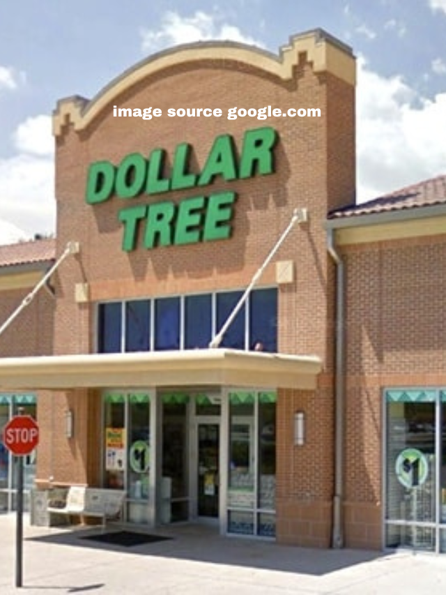 10 Affordable New Items Coming to Dollar Tree This Spring