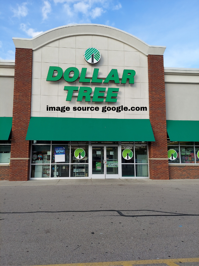 10 Blooming Spring Treasures To Get At Dollar Tree