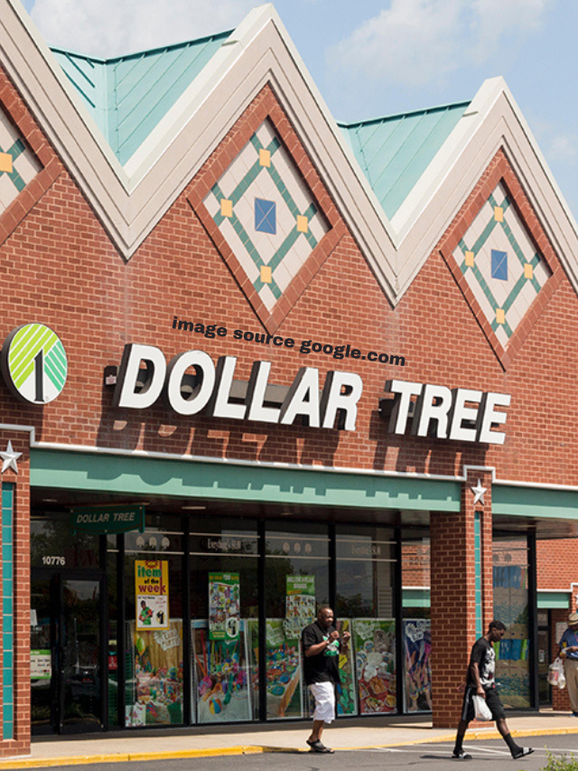 10 DIY Dollar Store Expensive House Look Decor Ideas