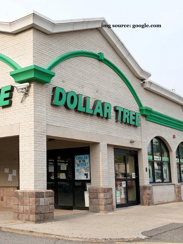 10 Elegant DIY Spring Decor Crafts from the Dollar Store