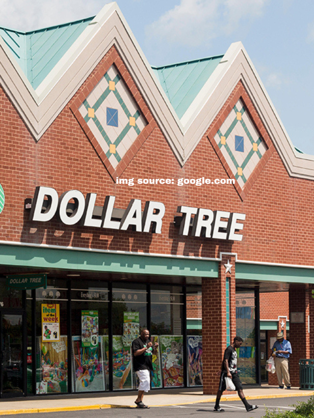 10 Essential Household Items to Always Grab at the Dollar Store