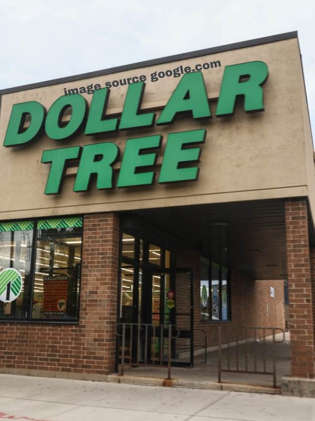 10 Insanely HIGHEND Dollar Tree SPRING diy's 2024 StatAnalytica