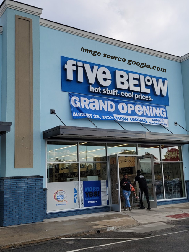 10 Spring Makeover on Hanging Basket from Five Below