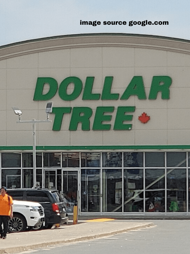 11 Spring Dollar Tree Decorations That People Are Buying Like Crazy