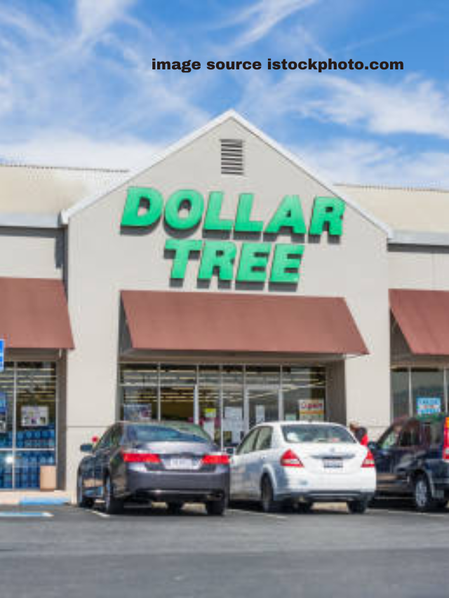 12 Remarkable Buys at the Dollar Store