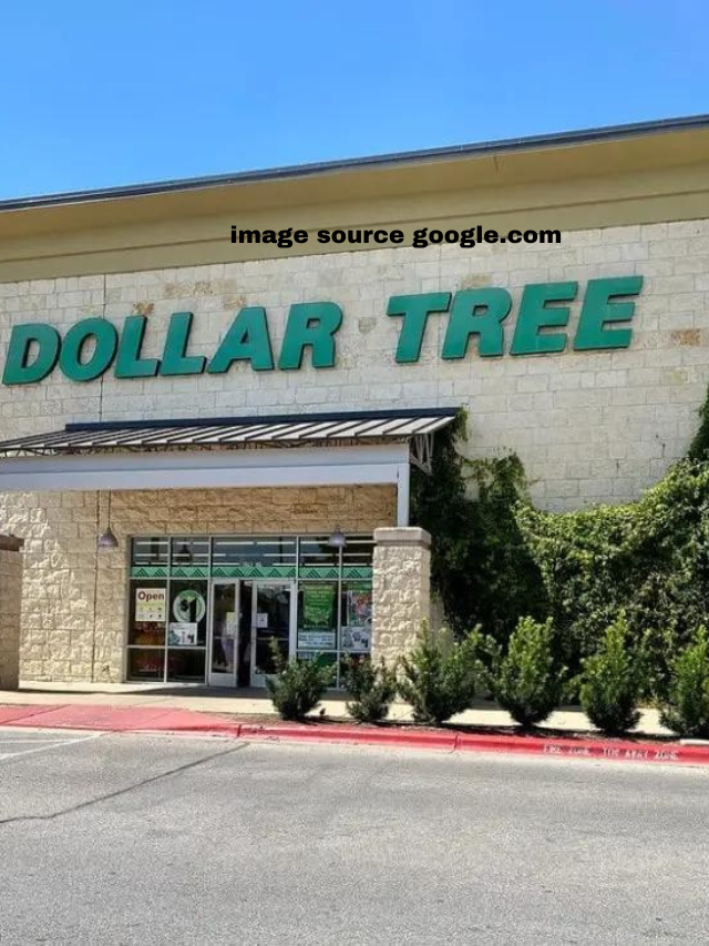 15 Clever Dollar Tree Home Decor Ideas Your Guests Will Want To Copy