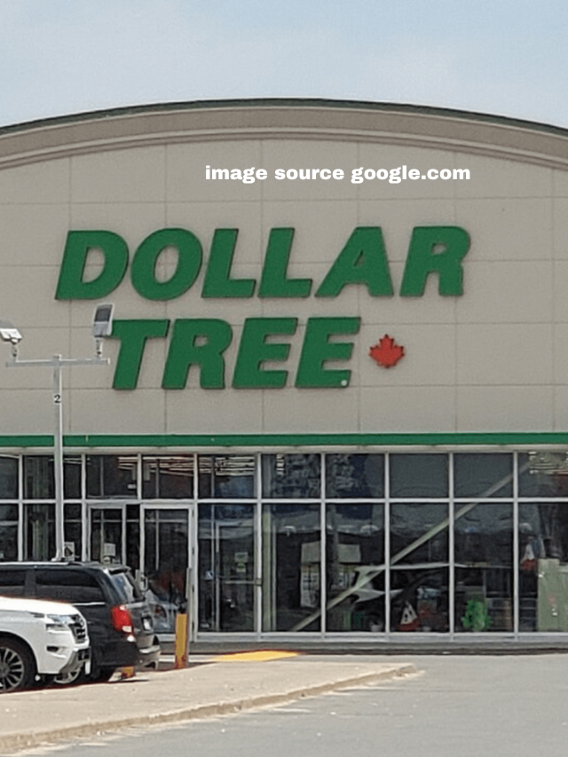 6 Dollar Tree Cleaning Products You Should Never Buy