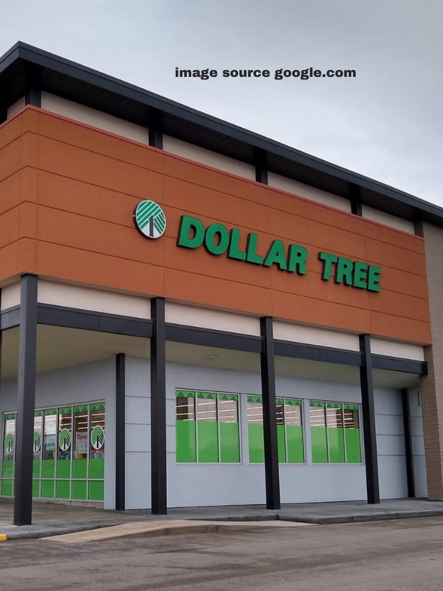 8 Best Items To Buy at Dollar Tree To Resell on Amazon for Major Profits
