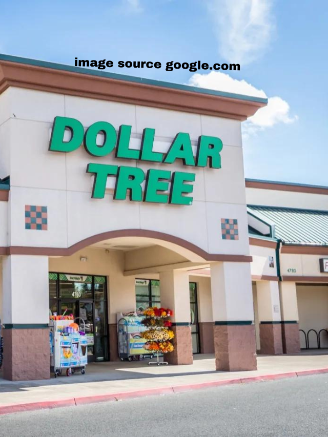 8 Newest March Must-Have Dollar Tree Items