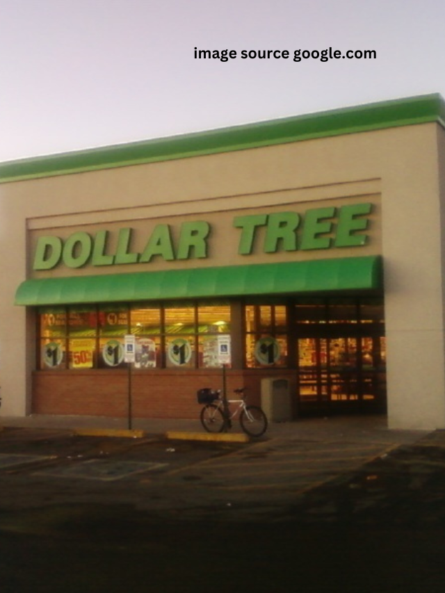 8 Things Designers Always Buy From Dollar Tree Statanalytica