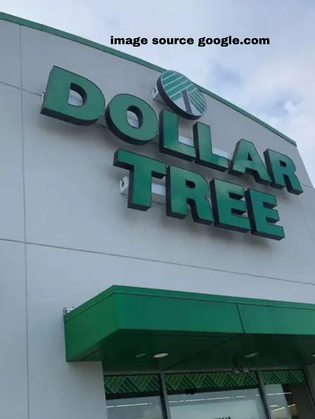 9 Best Dollar Tree Grocery Items To Buy in April