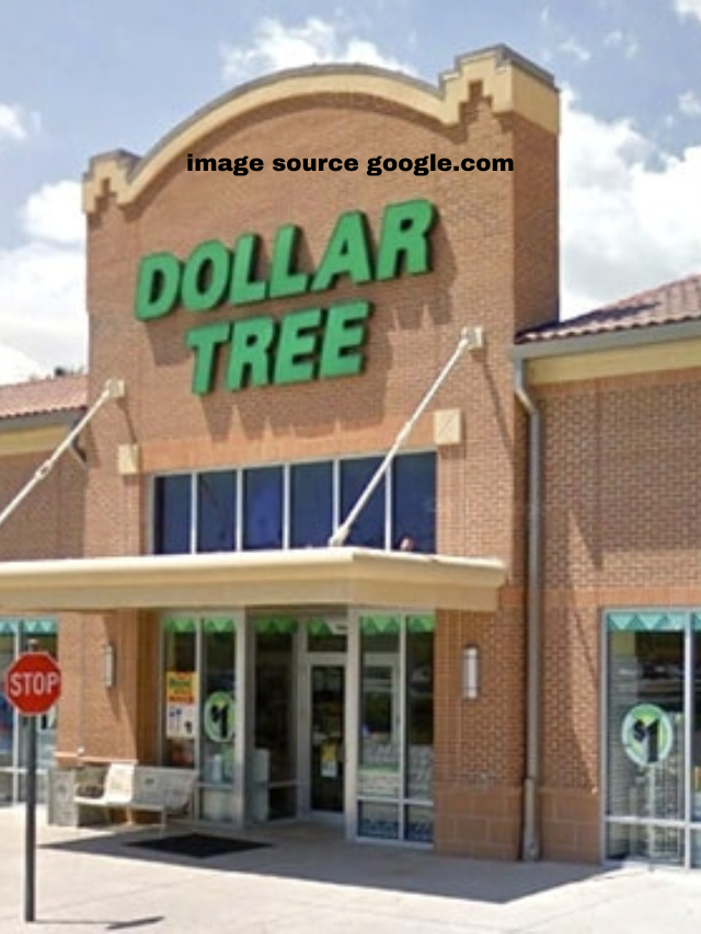 9 Dollar Tree Organization Ideas You’ve Got to See