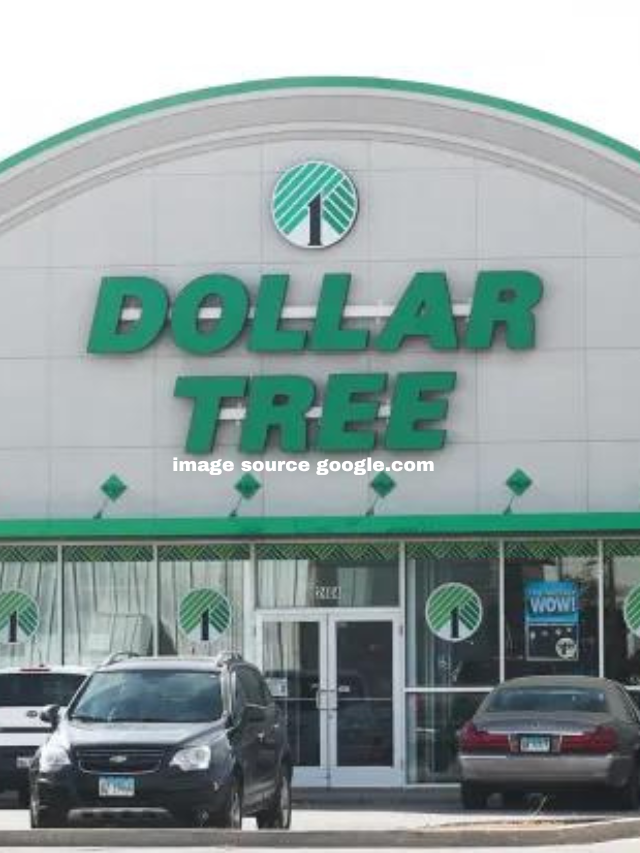 9 Spring Items at Dollar Tree You Won't Find Anywhere Else StatAnalytica(02)