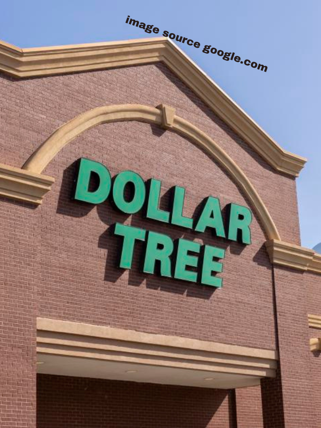 Dollar Tree Shoppers Find 8 Luxury Brands for Just $1.25