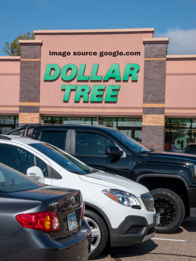 10 The $1 Dollar Tree Find You'll Use on Every Shelf in Your Fridge