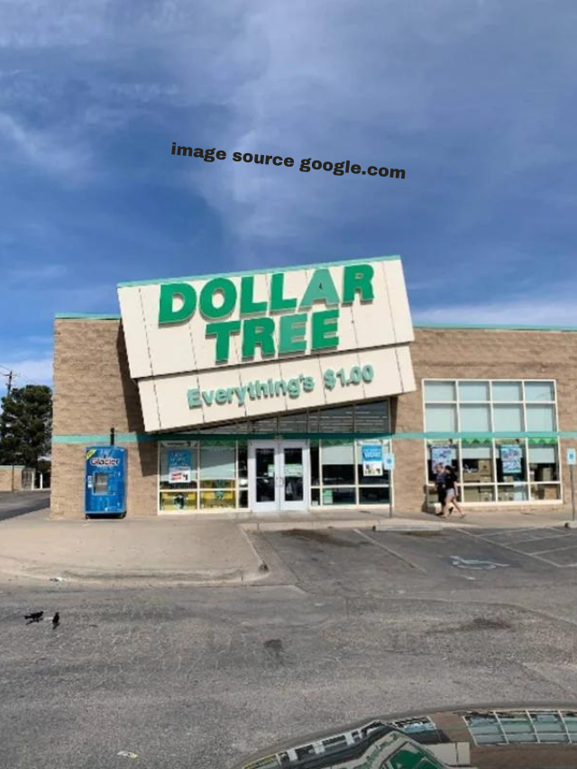 Top 10 Dollar Tree Diy Ideas You Should Try Right Now Statanalytica