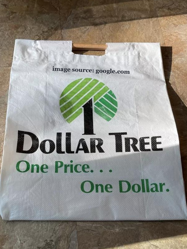 10 BRILLIANT Dollar Tree DIY Crafts for SPRING