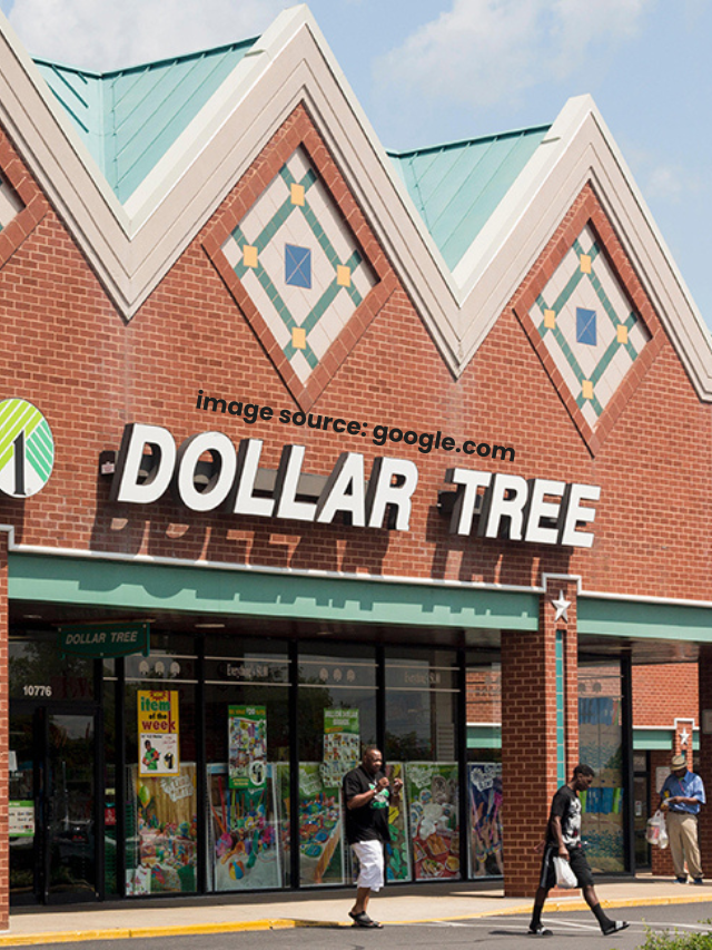 10 Dollar Tree Finds Make Organizing Your Home a Breeze