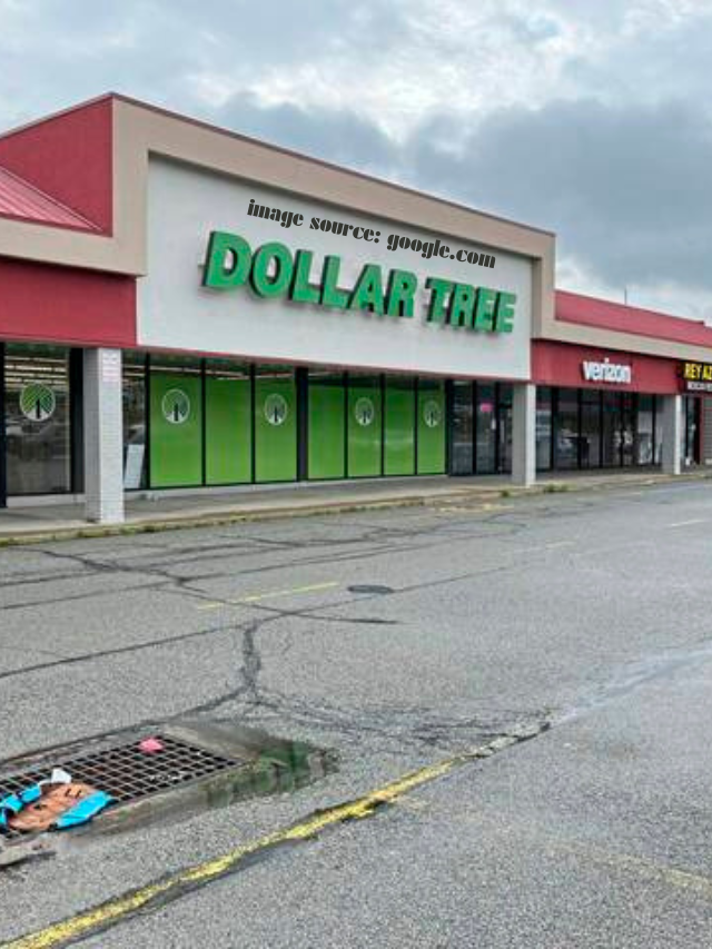 10 Dollar Tree’s “Too Cute” Flower-Shaped Garden Lights Will Fly Off Shelves