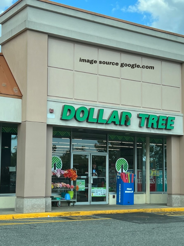 10 Essentials You Should Buy At Dollar Tree For Your Next Vacation