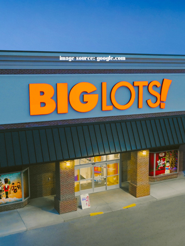 10 The Luxury Big Lots Decor Find You Can Use in Every Room of the House
