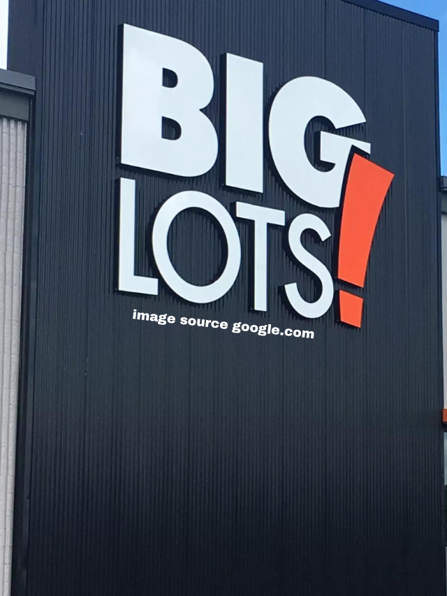 10 Top Big Lots Spring Decor Finds ideas in 2024