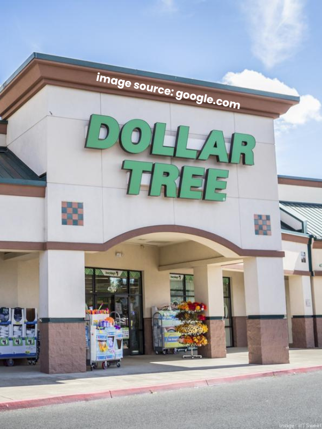 10 Unexpected Dollar Tree Finds Double As The Perfect Shoe Storage Solution