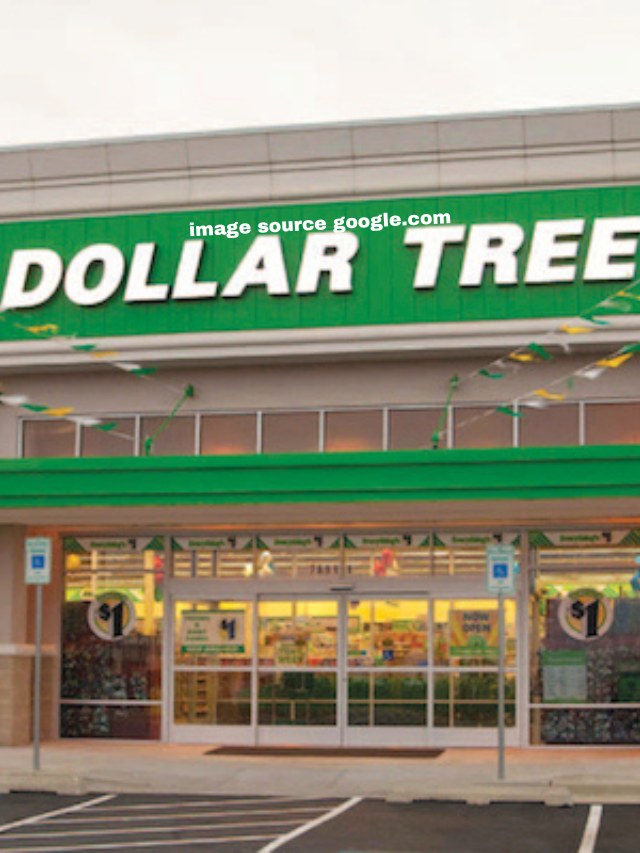 10 of the Best-Rated Kitchen Organizers at Dollar Tree