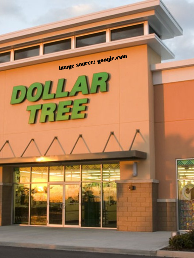 12 New Home Decor Items at Dollar Tree for Just $1.25