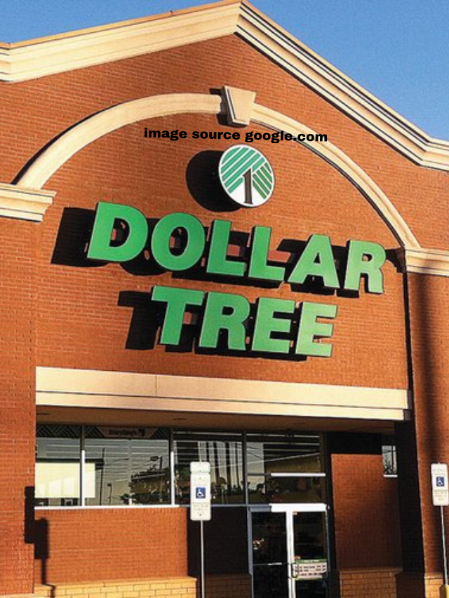 7 Cheap Dollar Tree Summer Items To Buy Early This Year