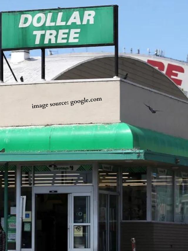 7 Items Dollar Tree Uses Sizing To Charge You More