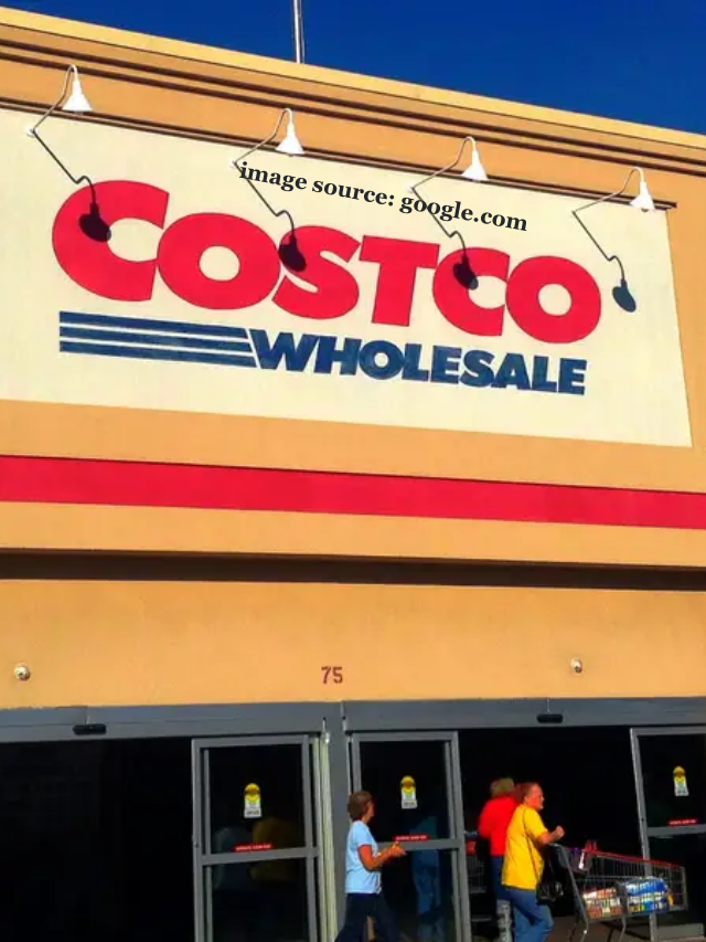 8 Best Items to Buy at Costco Now To Prepare for Summer StatAnalytica
