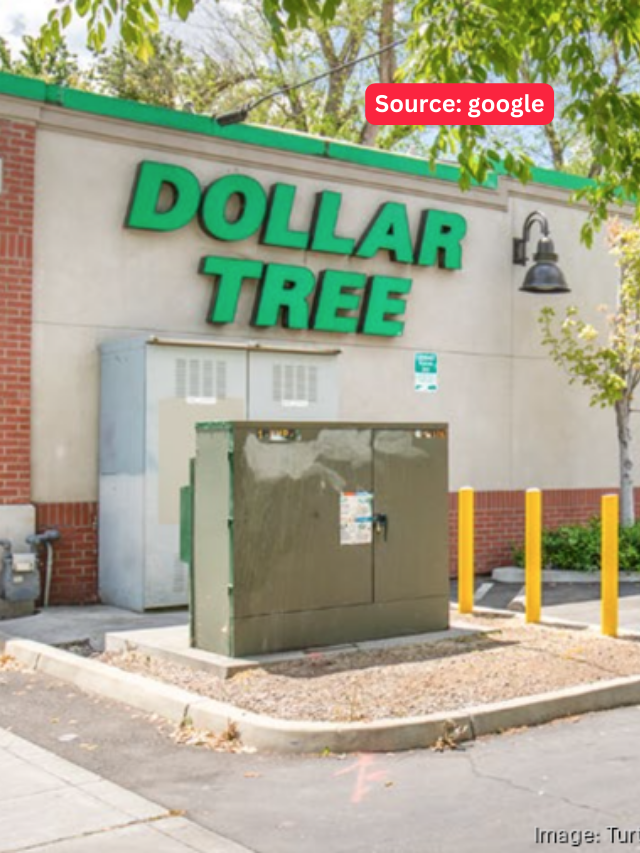 8 Home Items To Avoid Buying at Dollar Tree This Spring