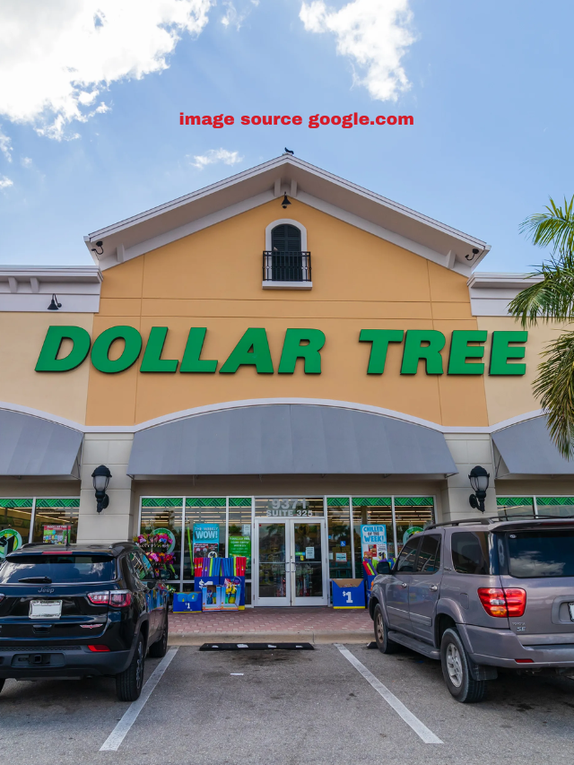 9 Best New Arrivals at Dollar Tree for Your Money in April